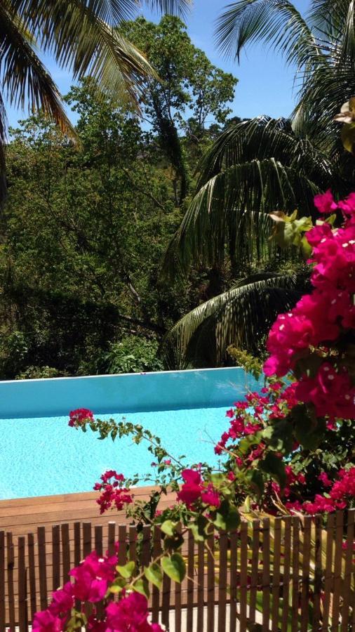 Confortable T1 Le Gosier, Wi-Fi, Piscine Dans Gite เลอโกซิเยร์ ภายนอก รูปภาพ